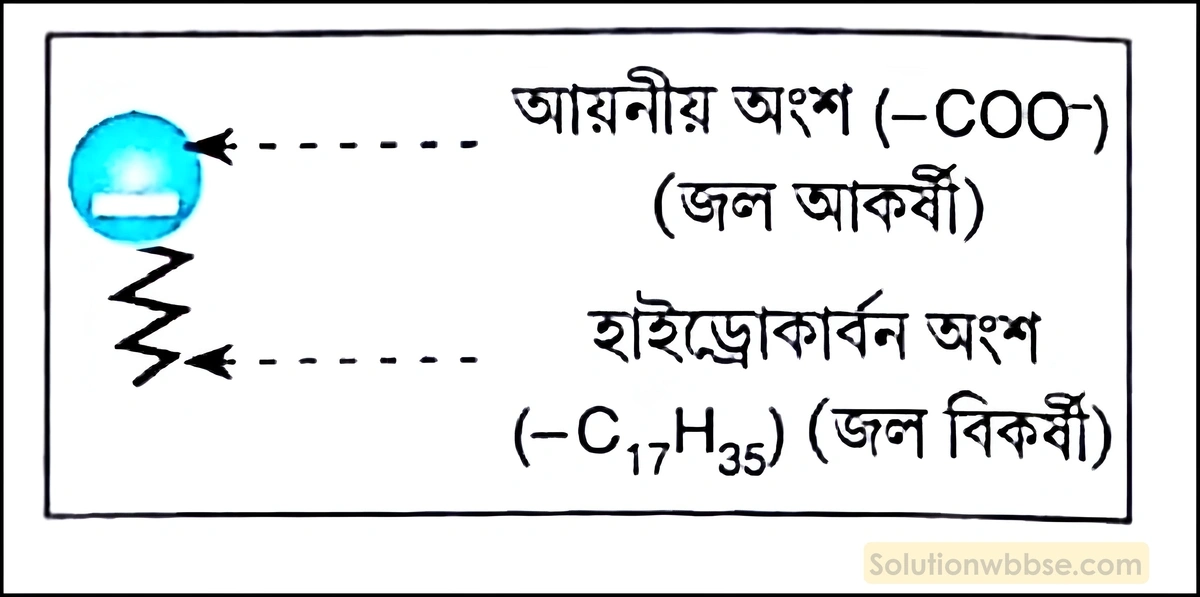 নবম শ্রেণী - ভৌতবিজ্ঞান - পদার্থ : পরমাণুর গঠন ও পদার্থের ভৌত ও রাসায়নিক ধর্মসমূহ - দ্রবণ - প্রশ্ন ও উত্তর 5 সাবানের সাহায্যে জামাকাপড়ের ময়লা কীভাবে অপসারিত হয়?