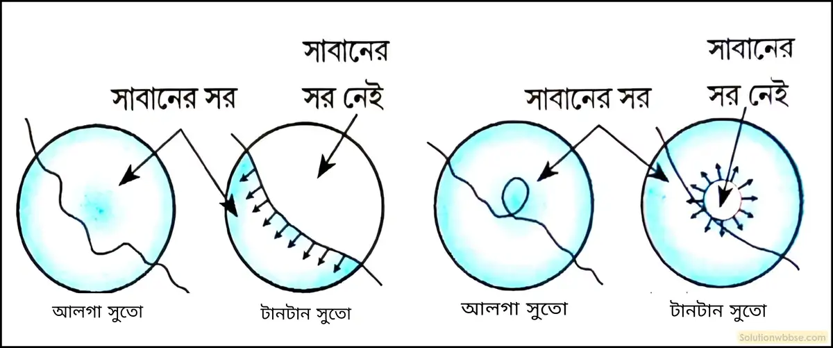নবম শ্রেণী - ভৌতবিজ্ঞান - পদার্থ : গঠন ও ধর্ম - পৃষ্ঠটান - প্রশ্ন ও উত্তর 13 একটি ধাতব তারের বলয়কে সাবান গোলা জলে সাবধানে ডুবিয়ে একটি পাতলা সাবানের সর বা ঝিল্লি তৈরি করা হল। একটি সরু সুতোর টুকরো সন্তর্পণে ওই সাবানের সরের উপর রাখা হল। নিম্নোক্ত ক্ষেত্রগুলিতে কী কী ঘটবে তা সংক্ষেপে ব্যাখ্যা