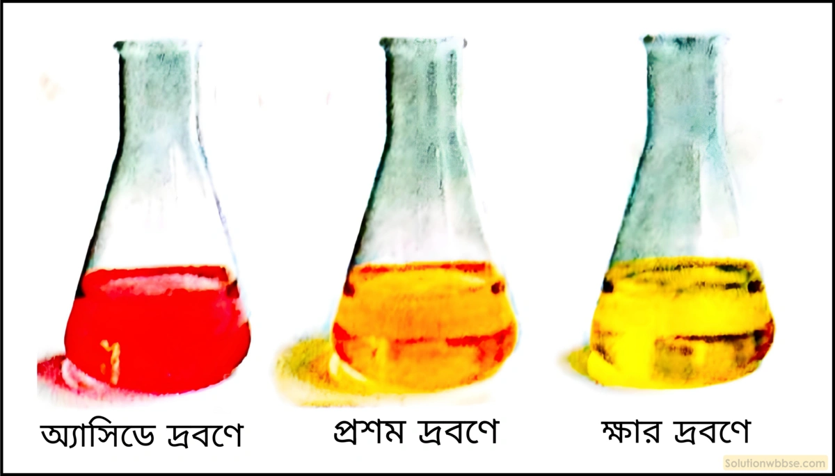 নবম শ্রেণী - ভৌতবিজ্ঞান - পদার্থ : পরমাণুর গঠন ও পদার্থের ভৌত ও রাসায়নিক ধর্মসমূহ - অ্যাসিড, ক্ষার, লবণ - প্রশ্ন ও উত্তর 26 Na2CO3 -এর জলীয় দ্রবণে 1 ফোঁটা মিথাইল অরেঞ্জ যোগ করলে কী পরিবর্তন লক্ষ করবে? একটি স্ট্র দিয়ে ক্রমাগত ফুঁ দিলে কী পরিবর্তন লক্ষ করবে? যুক্তিসহ লেখো।