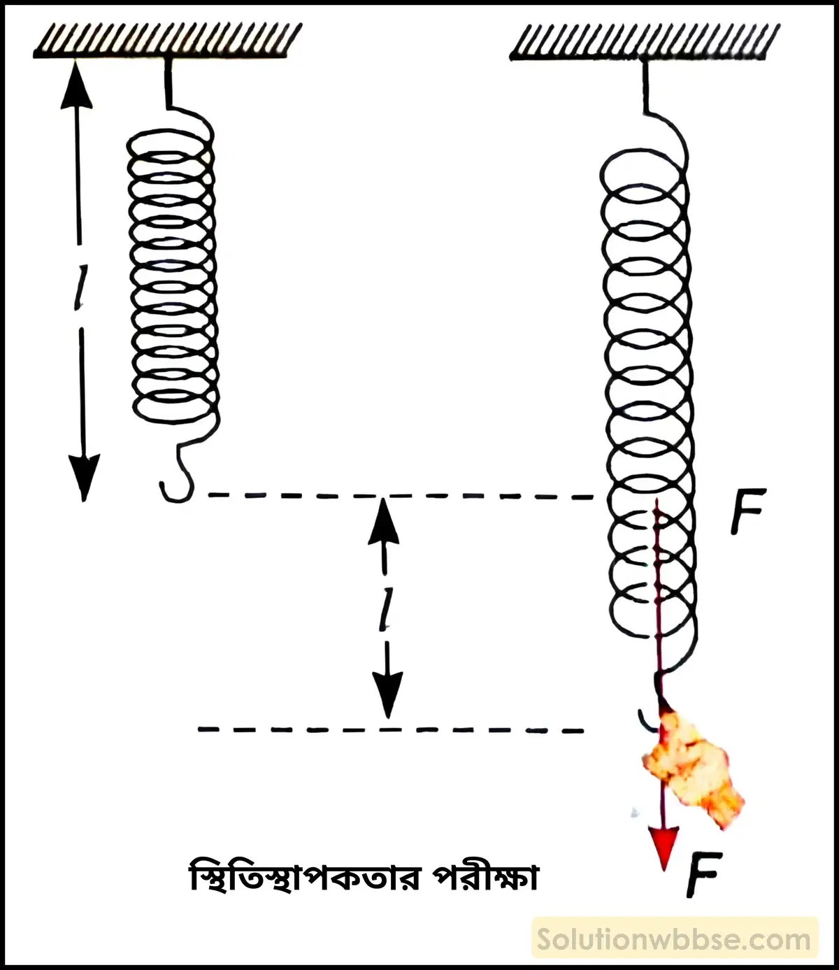 নবম শ্রেণী - ভৌতবিজ্ঞান - পদার্থ : গঠন ও ধর্ম - স্থিতিস্থাপকতা - প্রশ্ন ও উত্তর 2 একটি সক্রিয়তামূলক কাজের মাধ্যমে স্থিতিস্থাপকতার ধারণা ব্যাখ্যা করো।