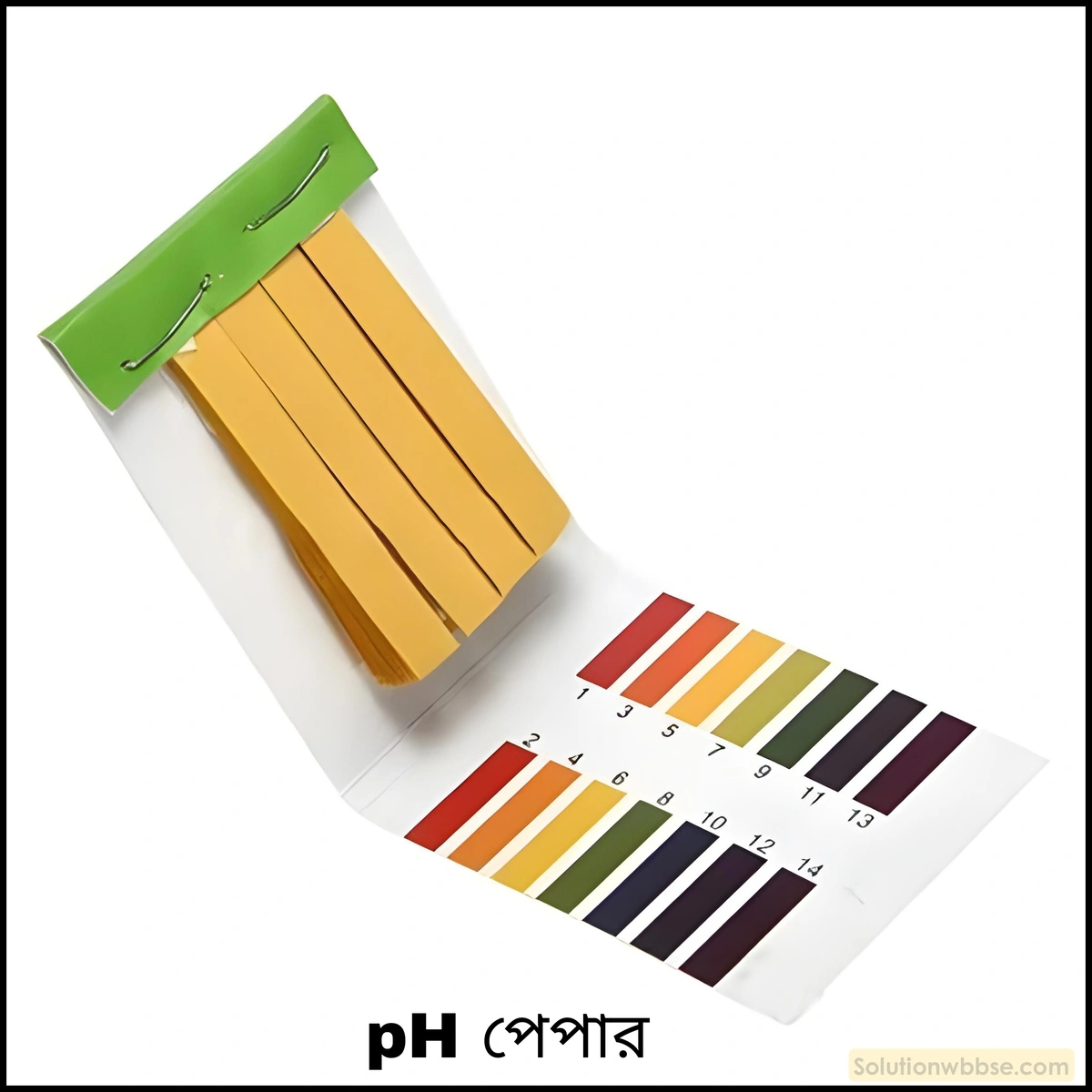 নবম শ্রেণী - ভৌতবিজ্ঞান - পদার্থ : পরমাণুর গঠন ও পদার্থের ভৌত ও রাসায়নিক ধর্মসমূহ - অ্যাসিড, ক্ষার, লবণ - প্রশ্ন ও উত্তর 16 pH পেপারের সাহায্যে বিভিন্ন দ্রবণের pH নির্ণয় পদ্ধতি আলোচনা করো।