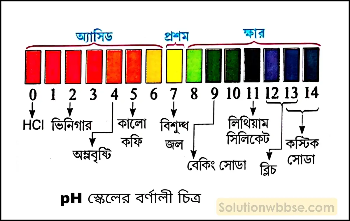 নবম শ্রেণী - ভৌতবিজ্ঞান - পদার্থ : পরমাণুর গঠন ও পদার্থের ভৌত ও রাসায়নিক ধর্মসমূহ - অ্যাসিড, ক্ষার, লবণ - প্রশ্ন ও উত্তর 15 pH স্কেল কী? কোনো দ্রবণের pH -এর মান থেকে দ্রবণটির প্রকৃতি সম্বন্ধে কীরূপ ধারণা পাওয়া যায়?