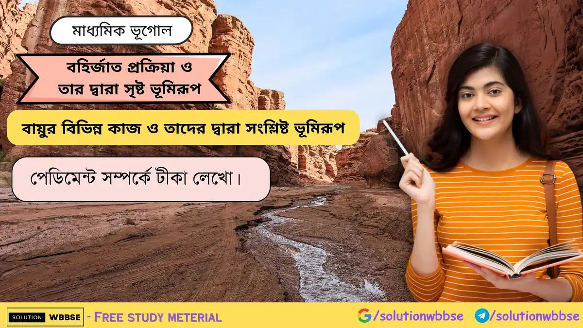 পেডিমেন্ট সম্পর্কে টীকা লেখো।