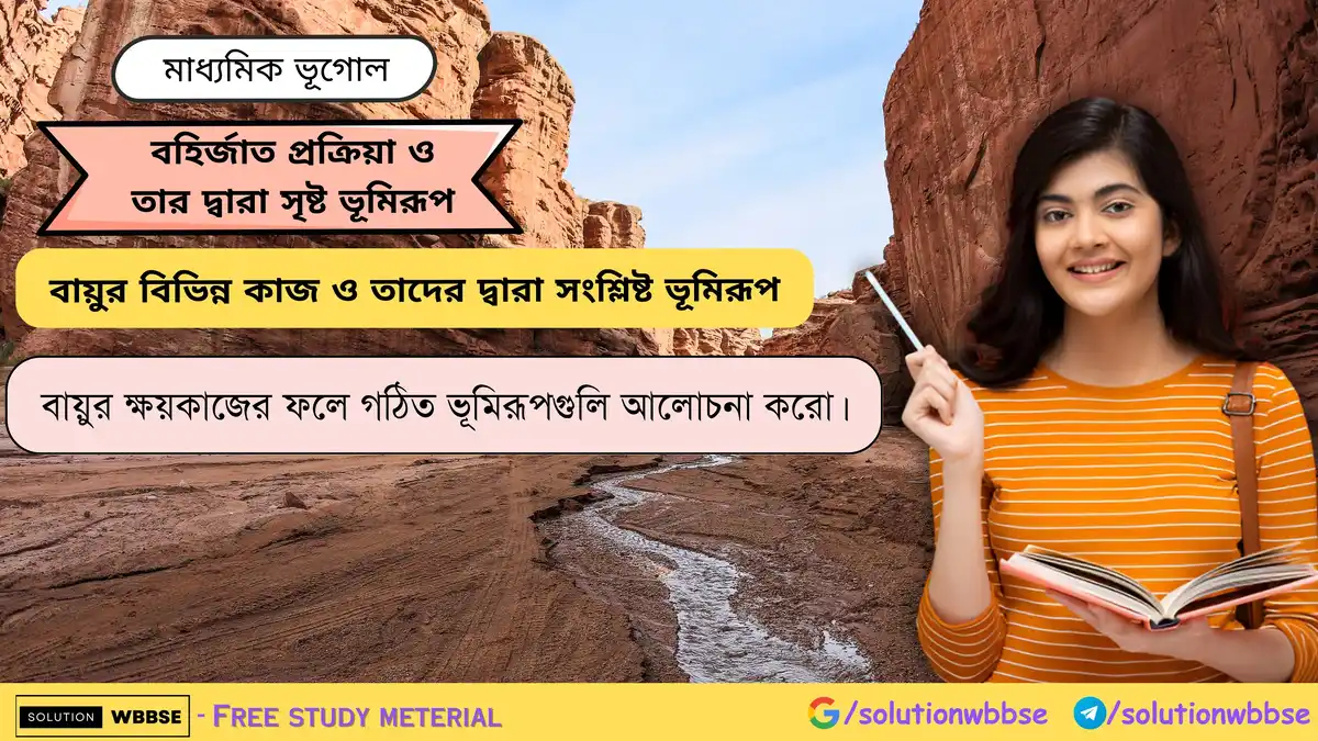 বায়ুর ক্ষয়কাজের ফলে গঠিত ভূমিরূপগুলি আলোচনা করো।