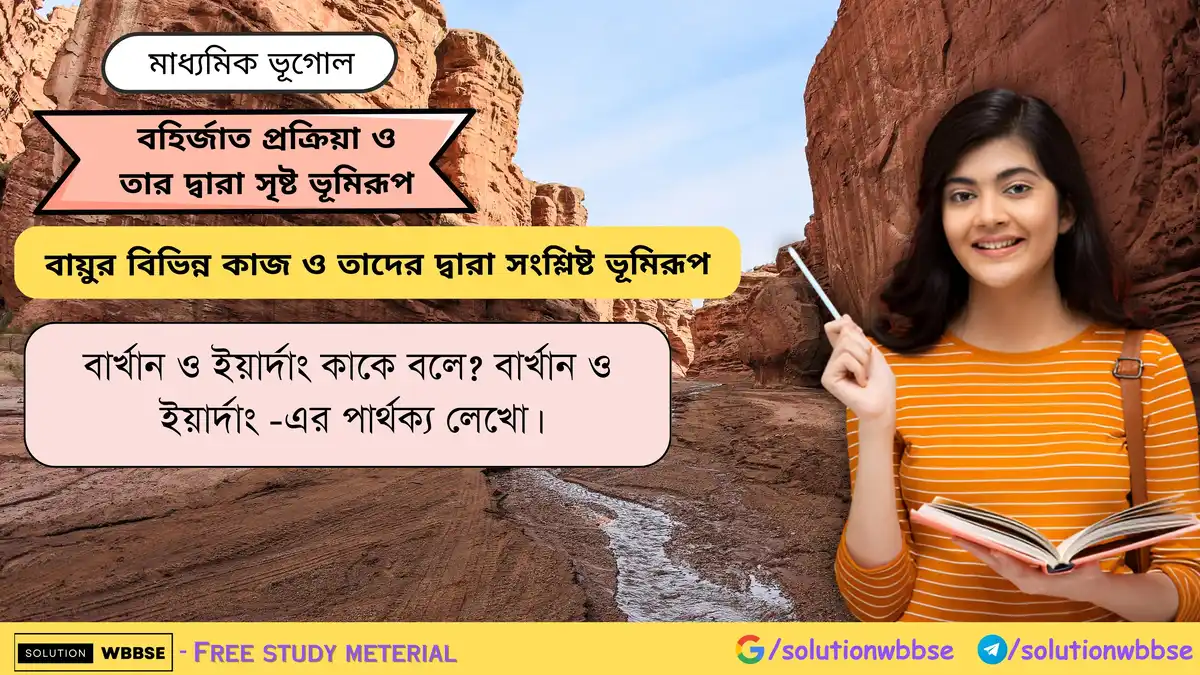 বার্খান ও ইয়ার্দাং -এর পার্থক্য লেখো।