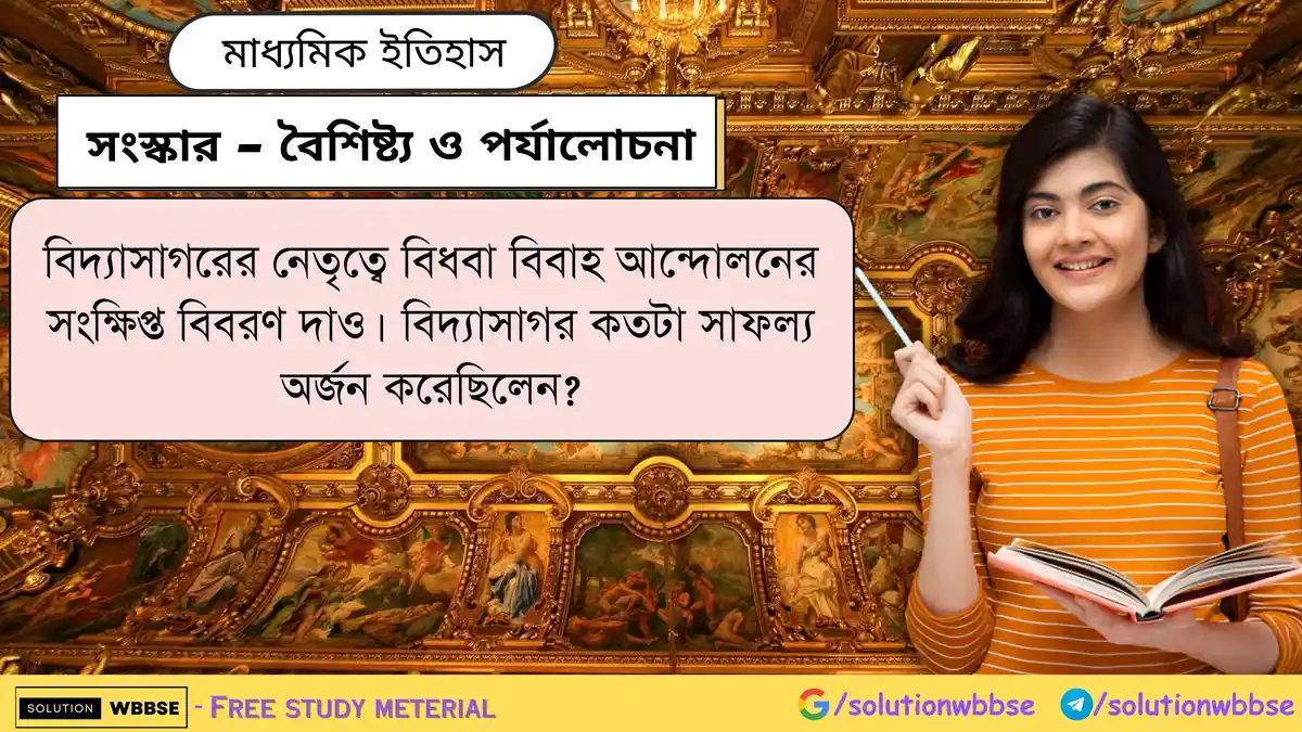 বিদ্যাসাগরের নেতৃত্বে বিধবা বিবাহ আন্দোলনের সংক্ষিপ্ত বিবরণ দাও। বিদ্যাসাগর কতটা সাফল্য অর্জন করেছিলেন?