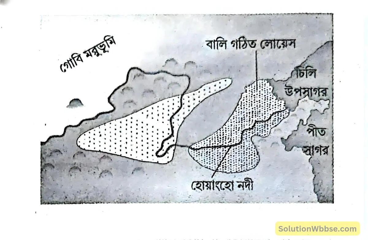 লোয়েস সমভূমি