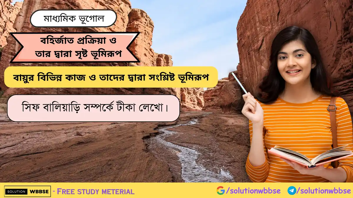 সিফ বালিয়াড়ি সম্পর্কে টীকা লেখো।