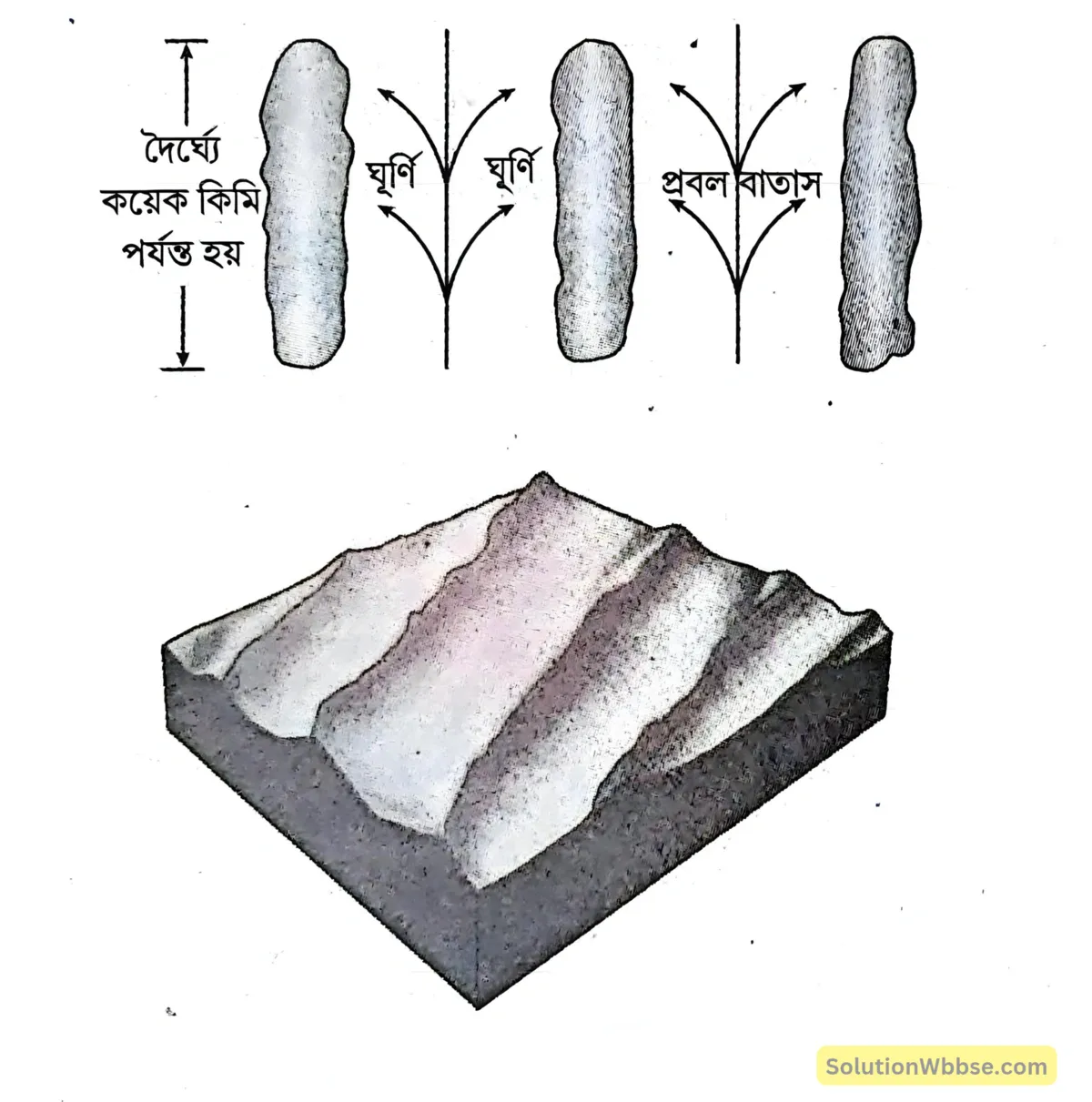 সিফ বালিয়াড়ি