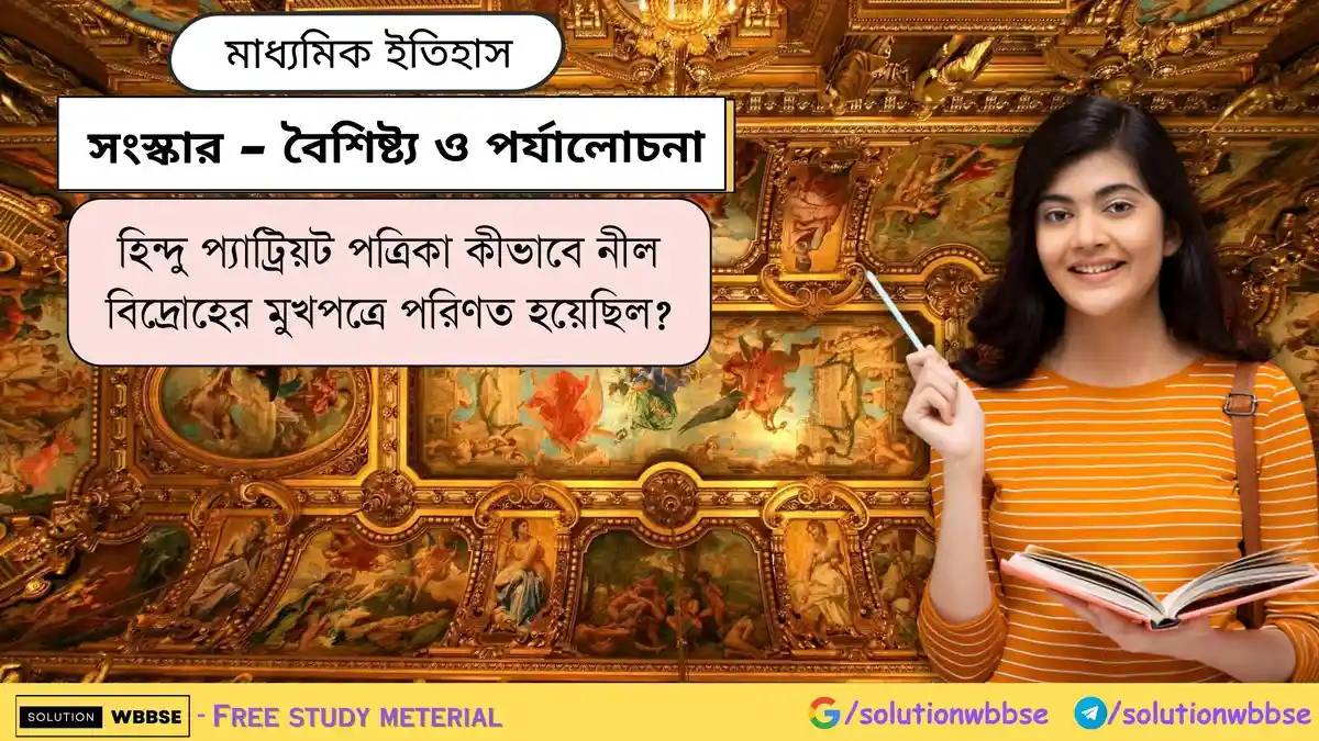 হিন্দু প্যাট্রিয়ট পত্রিকা কীভাবে নীল বিদ্রোহের মুখপত্রে পরিণত হয়েছিল?