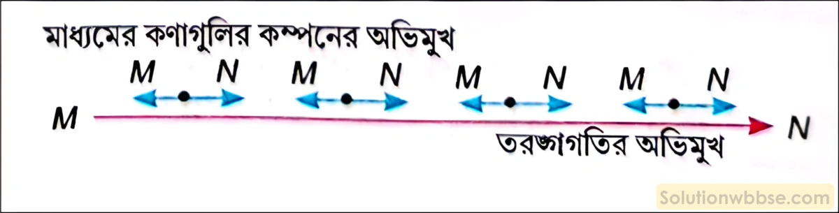 নবম শ্রেণী - ভৌতবিজ্ঞান - শব্দ - শব্দের বিস্তার : তরঙ্গ - প্রশ্ন ও উত্তর 10 অনুদৈর্ঘ্য তরঙ্গের ধারণা ব্যাখ্যা করো। এর উদাহরণসহ সংজ্ঞা দাও।