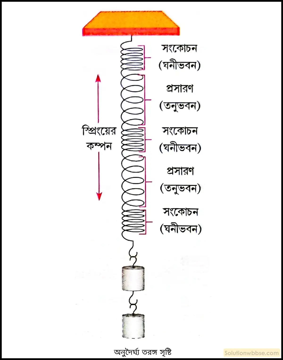 নবম শ্রেণী - ভৌতবিজ্ঞান - শব্দ - শব্দের বিস্তার : তরঙ্গ - প্রশ্ন ও উত্তর 12 একটি স্প্রিং ব্যবহার করে অনুদৈর্ঘ্য তরঙ্গ কীভাবে সৃষ্টি করা যায়? চিত্রসহ ব্যাখ্যা করো।