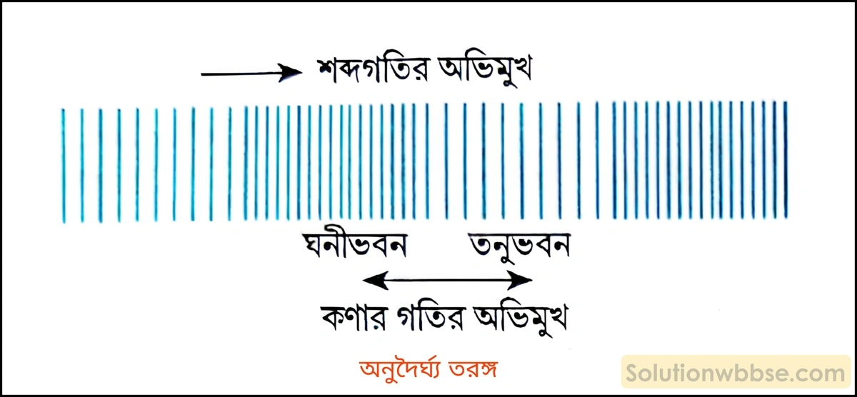 নবম শ্রেণী - ভৌতবিজ্ঞান - শব্দ - শব্দের বিস্তার : তরঙ্গ - প্রশ্ন ও উত্তর 11 অনুদৈর্ঘ্য তরঙ্গের ধারণা ব্যাখ্যা করো। এর উদাহরণসহ সংজ্ঞা দাও।