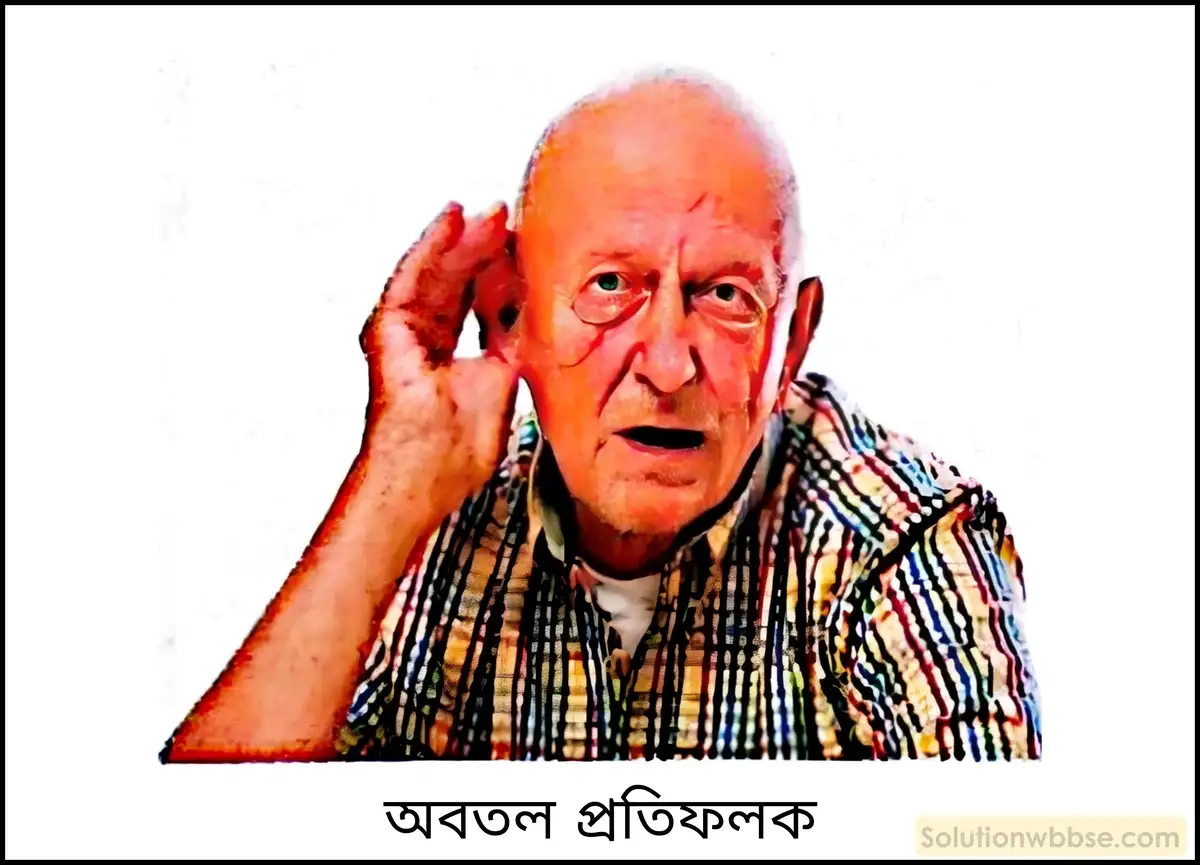 নবম শ্রেণী - ভৌতবিজ্ঞান - শব্দ - শব্দের কয়েকটি ধর্ম - প্রশ্ন ও উত্তর 7 শব্দের প্রতিফলনের কয়েকটি ব্যাবহারিক প্রয়োগ উল্লেখ করো।