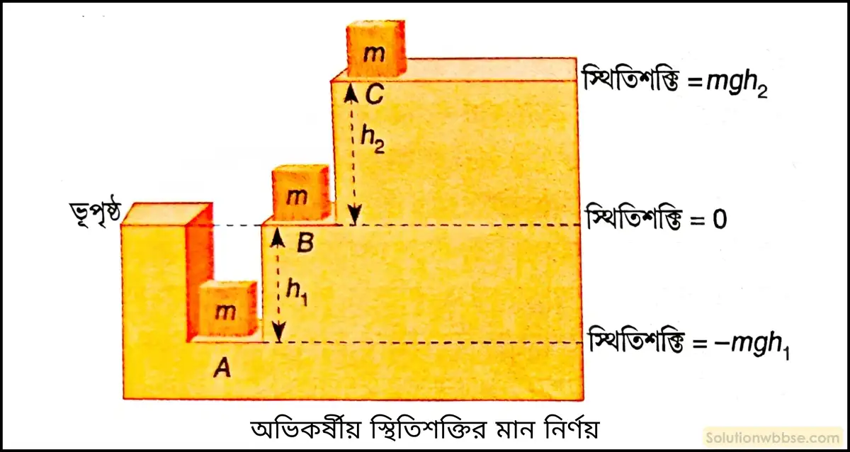 নবম শ্রেণী - ভৌতবিজ্ঞান - শক্তির ক্রিয়া, কার্য, ক্ষমতা ও শক্তি - প্রশ্ন ও উত্তর 8 অভিকর্ষীয় স্থিতিশক্তির মান নির্দেশতলের ওপর কীভাবে নির্ভর করে?