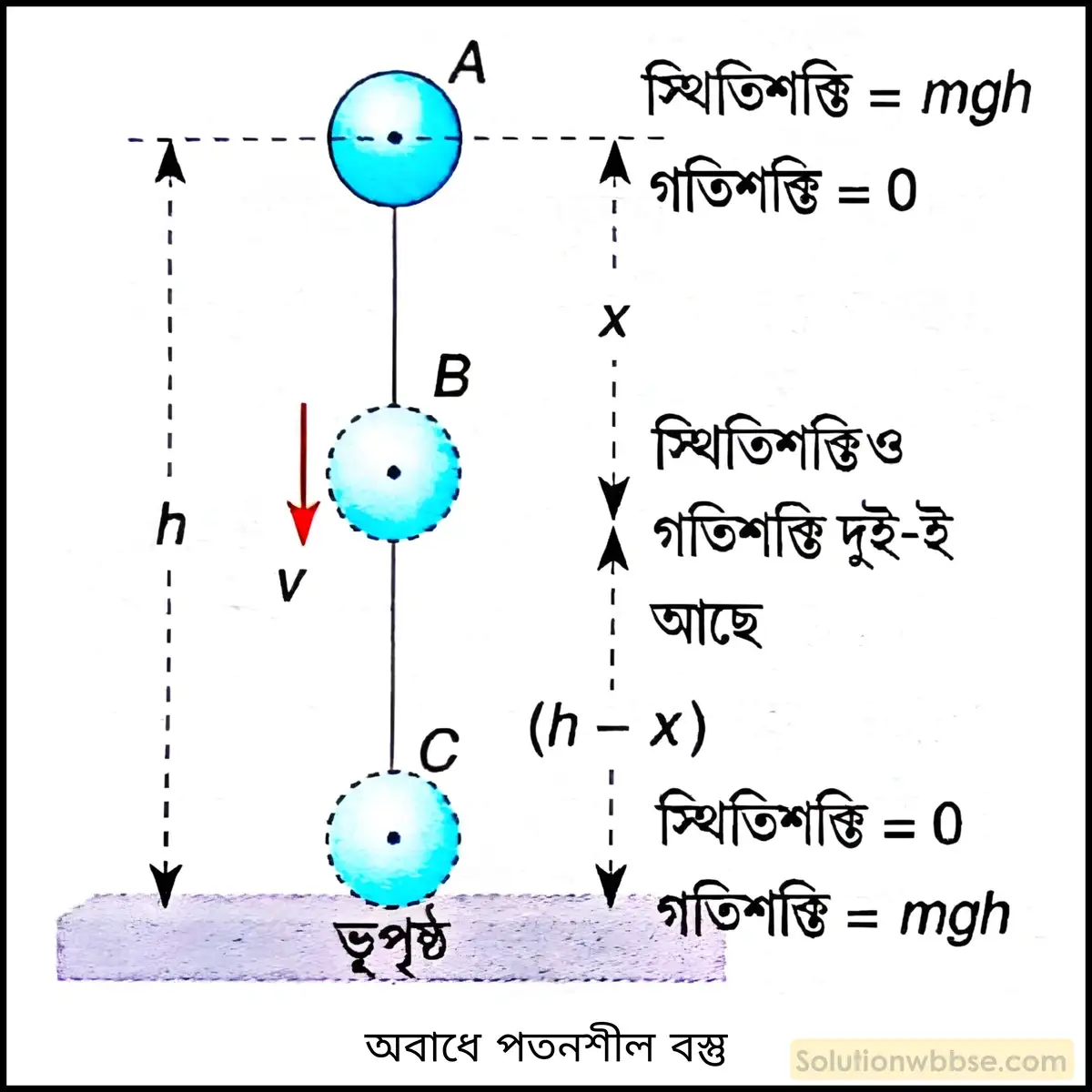 নবম শ্রেণী - ভৌতবিজ্ঞান - শক্তির ক্রিয়া, কার্য, ক্ষমতা ও শক্তি - প্রশ্ন ও উত্তর 9 প্রমাণ করো যে, অভিকর্ষের প্রভাবে অবাধে পতনশীল বস্তুর মোট যান্ত্রিক শক্তি সর্বদা ধ্রুবক।