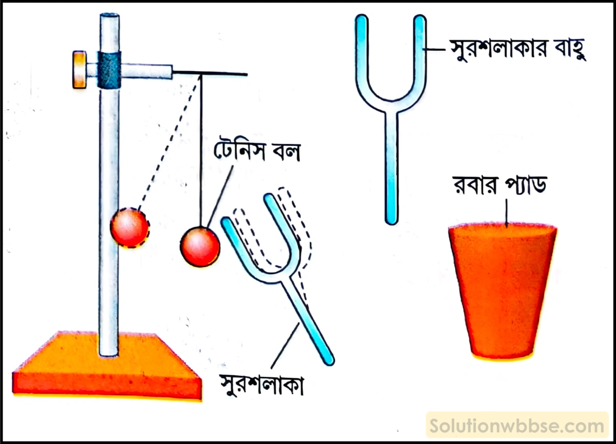 নবম শ্রেণী - ভৌতবিজ্ঞান - শব্দ - শব্দের উৎস : কম্পন - প্রশ্ন ও উত্তর 5 দেখাও যে, কম্পনের ফলে শব্দের সৃষ্টি হয়।