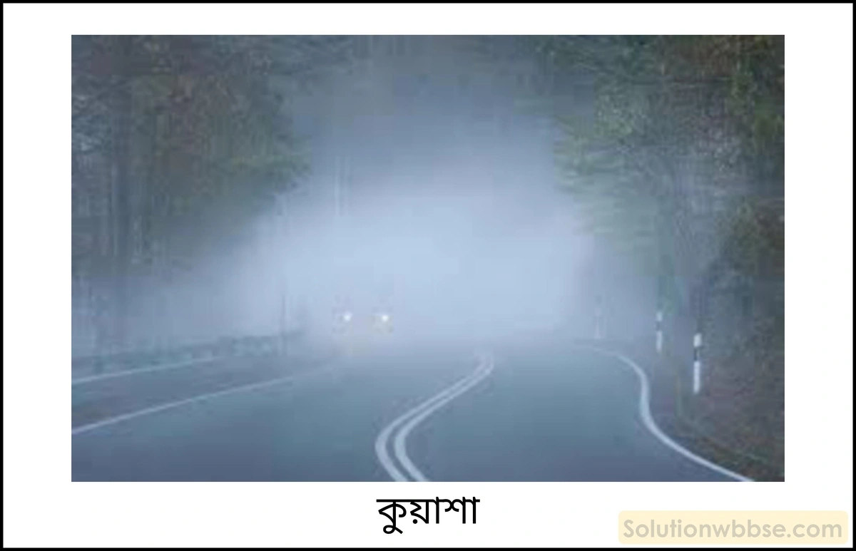 নবম শ্রেণী - ভৌতবিজ্ঞান - তাপ - সম্পৃক্ত ও অসম্পৃক্ত বাষ্প - প্রশ্ন ও উত্তর 5 চাপ-আয়তন লেখচিত্রের সাহায্যে সম্পৃক্ত ও অসম্পৃক্ত বাষ্প ব্যাখ্যা করো।