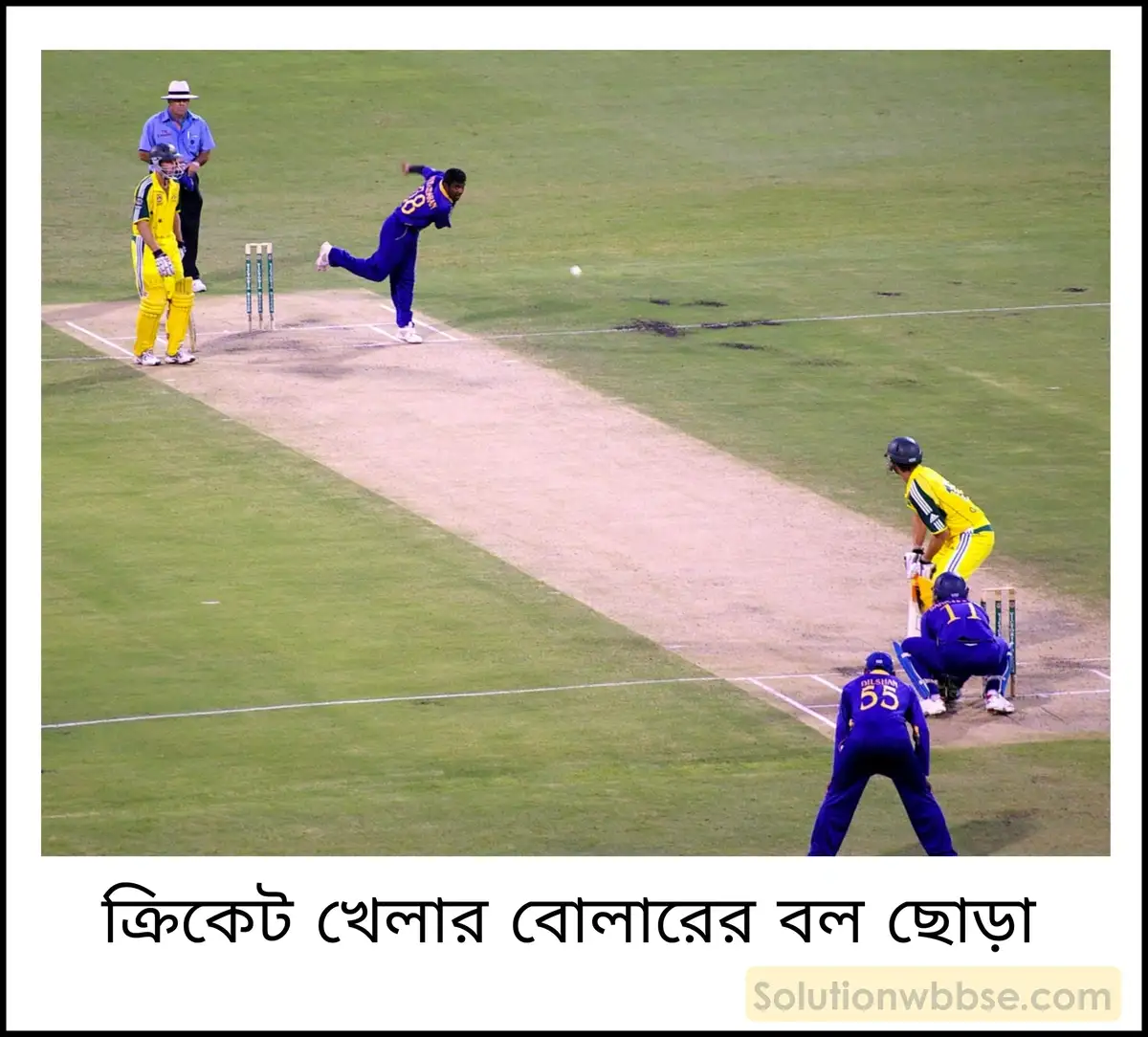নবম শ্রেণী - ভৌতবিজ্ঞান - শক্তির ক্রিয়া, কার্য, ক্ষমতা ও শক্তি - প্রশ্ন ও উত্তর 25 কখনো কখনো ক্রিকেট বলকে যে বেগে ছোড়া হয়, মাটিতে আঘাত করার পর তার গতিবেগ বেড়ে যায়। এটি কীভাবে সম্ভব?