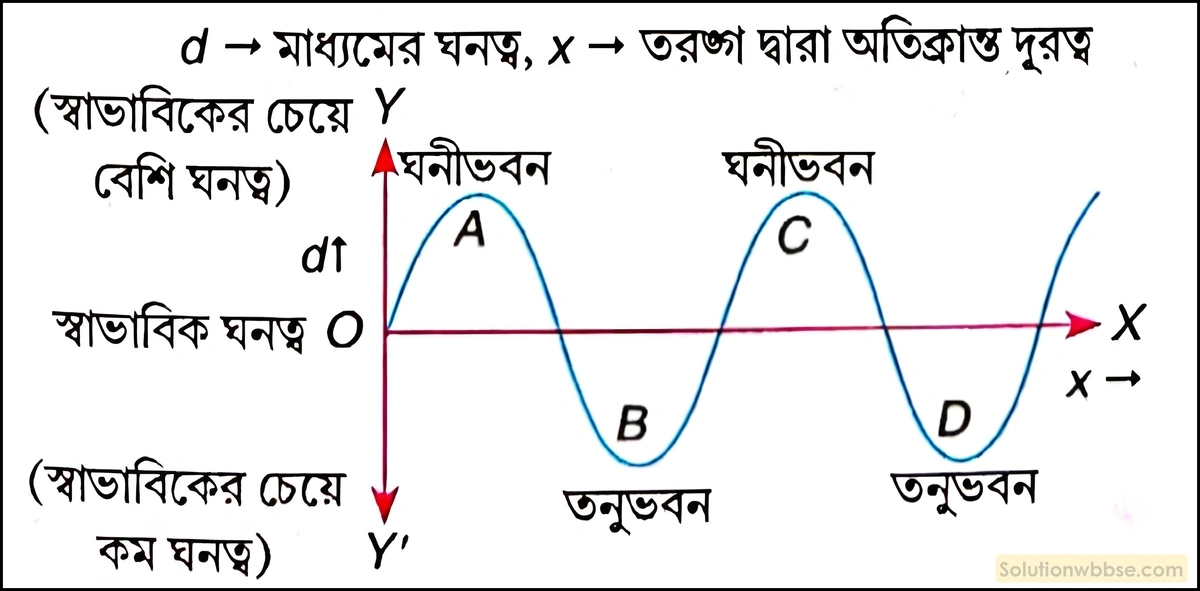 নবম শ্রেণী - ভৌতবিজ্ঞান - শব্দ - শব্দের বিস্তার : তরঙ্গ - প্রশ্ন ও উত্তর 14 লেখচিত্রের মাধ্যমে অনুদৈর্ঘ্য ও তির্যক তরঙ্গ প্রকাশ করো এবং এর বিভিন্ন অংশগুলি চিহ্নিত করো।