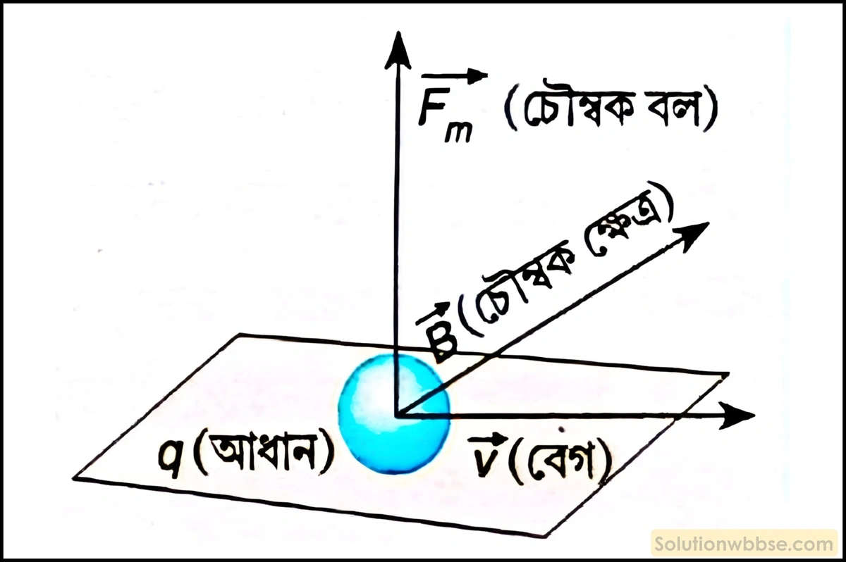 নবম শ্রেণী - ভৌতবিজ্ঞান - শক্তির ক্রিয়া, কার্য, ক্ষমতা ও শক্তি - প্রশ্ন ও উত্তর 6 চৌম্বক বল কীভাবে কার্যহীন বলের বৈশিষ্ট্য প্রদর্শন করে?
