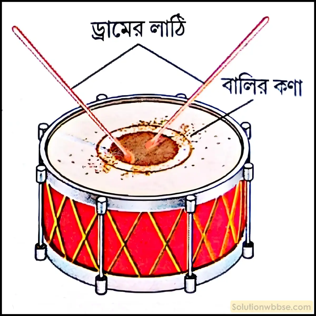 নবম শ্রেণী - ভৌতবিজ্ঞান - শব্দ - শব্দের উৎস : কম্পন - প্রশ্ন ও উত্তর 3 দেখাও যে, কম্পনের ফলে শব্দের সৃষ্টি হয়।