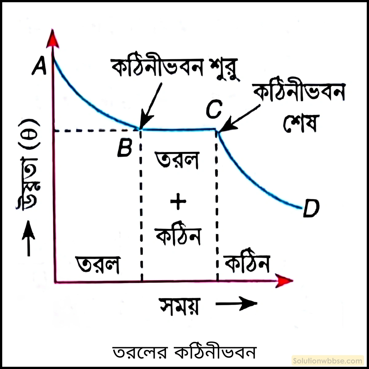 নবম শ্রেণী - ভৌতবিজ্ঞান - তাপ - লীনতাপ - প্রশ্ন ও উত্তর 4 লেখচিত্রের মাধ্যমে তরলের কঠিনীভবন ব্যাখ্যা করো।
