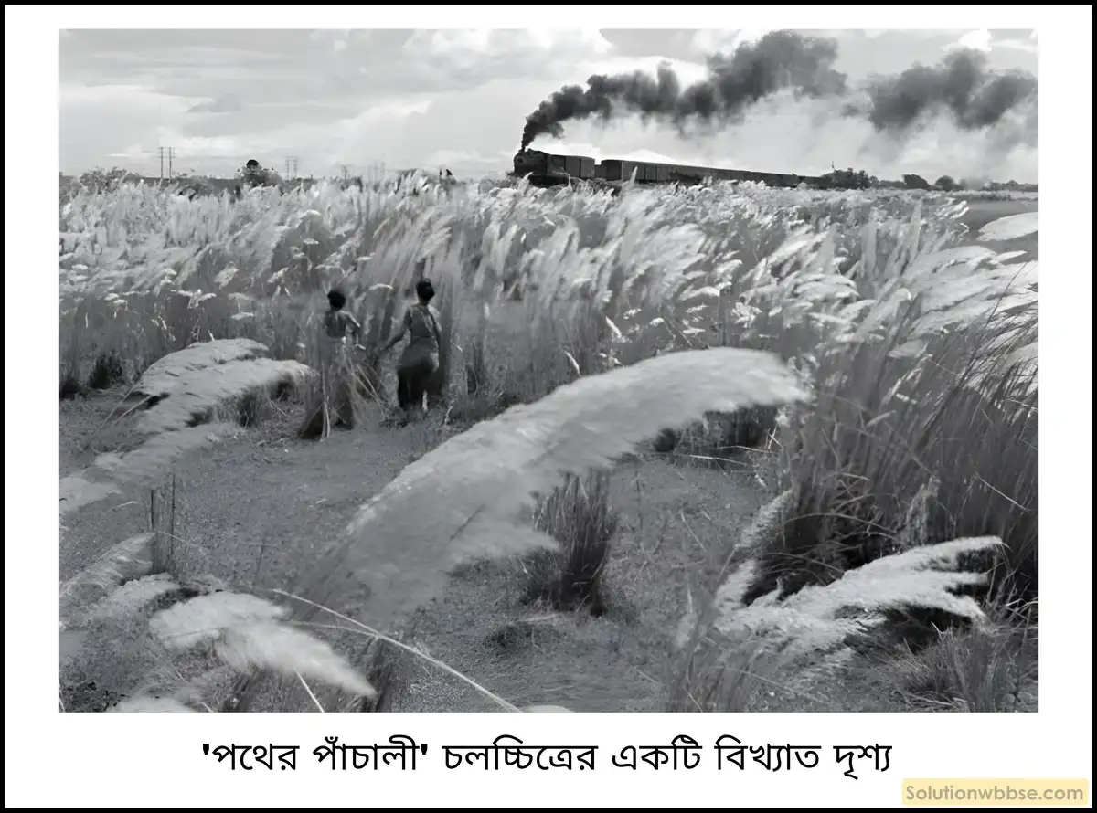 মাধ্যমিক ইতিহাস - ইতিহাসের ধারণা - সংক্ষিপ্ত প্রশ্ন ও উত্তর 6 বাংলার চলচ্চিত্রকে সত্যজিৎ রায় কীভাবে বিশ্বের দরবারে পৌঁছে দিয়েছিলেন?