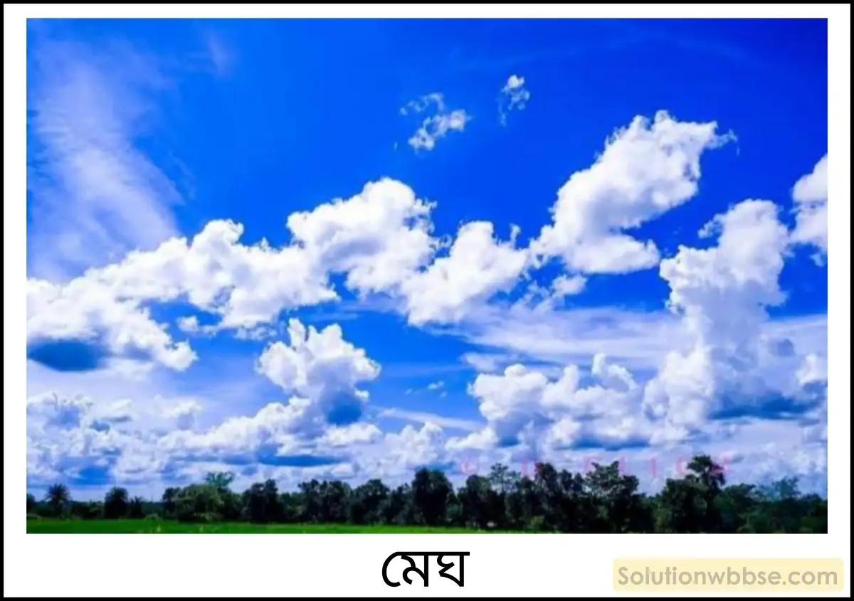 নবম শ্রেণী - ভৌতবিজ্ঞান - তাপ - সম্পৃক্ত ও অসম্পৃক্ত বাষ্প - প্রশ্ন ও উত্তর 6 চাপ-আয়তন লেখচিত্রের সাহায্যে সম্পৃক্ত ও অসম্পৃক্ত বাষ্প ব্যাখ্যা করো।
