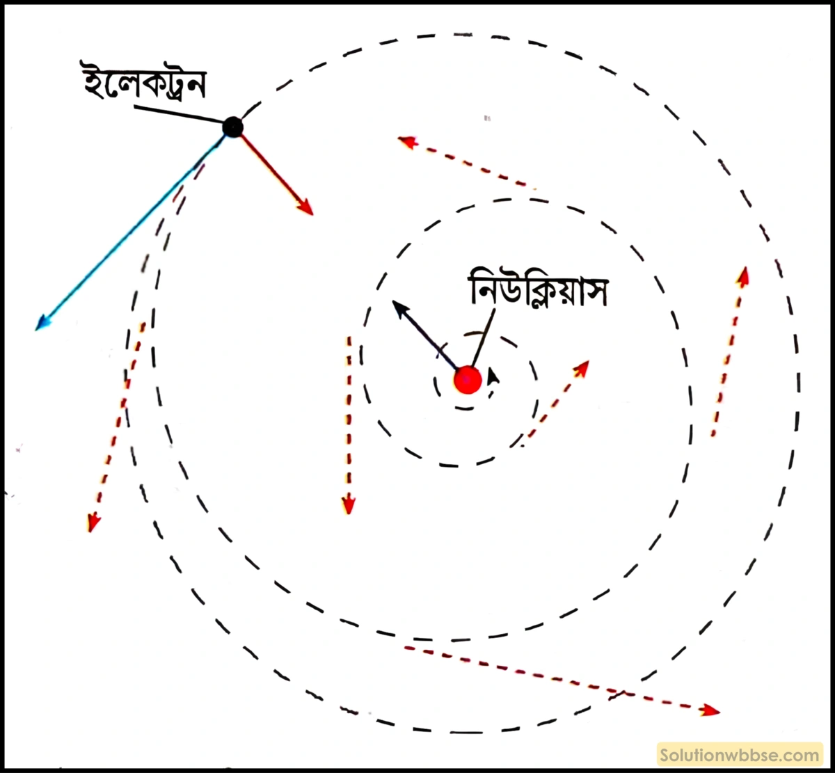 নবম শ্রেণী - ভৌতবিজ্ঞান - পদার্থ : পরমাণুর গঠন ও পদার্থের ভৌত ও রাসায়নিক ধর্মসমূহ - পরমাণুর গঠন - প্রশ্ন ও উত্তর 9 রাদারফোর্ডের পরমাণু মডেলের সীমাবদ্ধতাগুলি উল্লেখ করো।