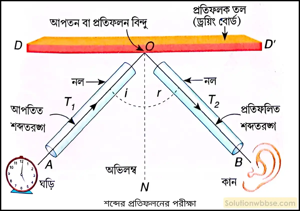 নবম শ্রেণী - ভৌতবিজ্ঞান - শব্দ - শব্দের কয়েকটি ধর্ম - প্রশ্ন ও উত্তর 2 একটি পরীক্ষা দ্বারা প্রমাণ করো শব্দের প্রতিফলন ধর্ম বর্তমান।