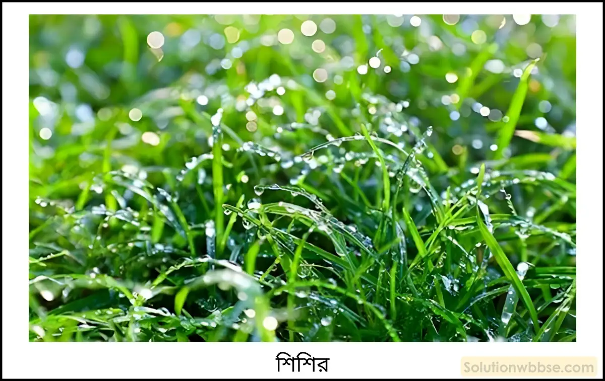 নবম শ্রেণী - ভৌতবিজ্ঞান - তাপ - সম্পৃক্ত ও অসম্পৃক্ত বাষ্প - প্রশ্ন ও উত্তর 4 চাপ-আয়তন লেখচিত্রের সাহায্যে সম্পৃক্ত ও অসম্পৃক্ত বাষ্প ব্যাখ্যা করো।