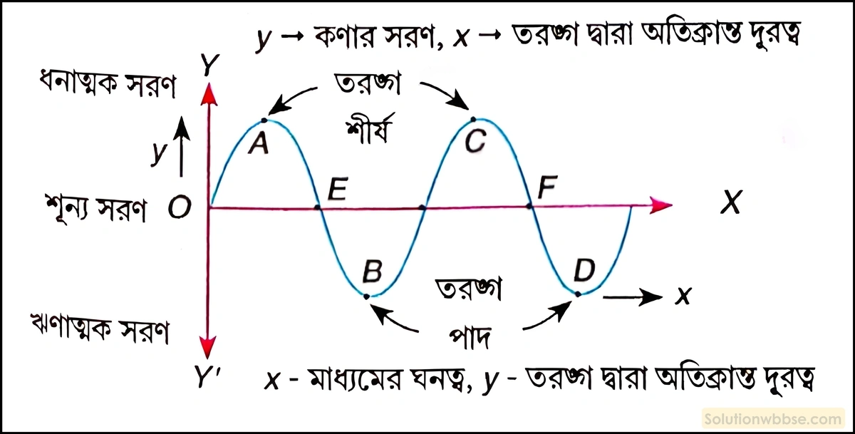 নবম শ্রেণী - ভৌতবিজ্ঞান - শব্দ - শব্দের বিস্তার : তরঙ্গ - প্রশ্ন ও উত্তর 15 লেখচিত্রের মাধ্যমে অনুদৈর্ঘ্য ও তির্যক তরঙ্গ প্রকাশ করো এবং এর বিভিন্ন অংশগুলি চিহ্নিত করো।