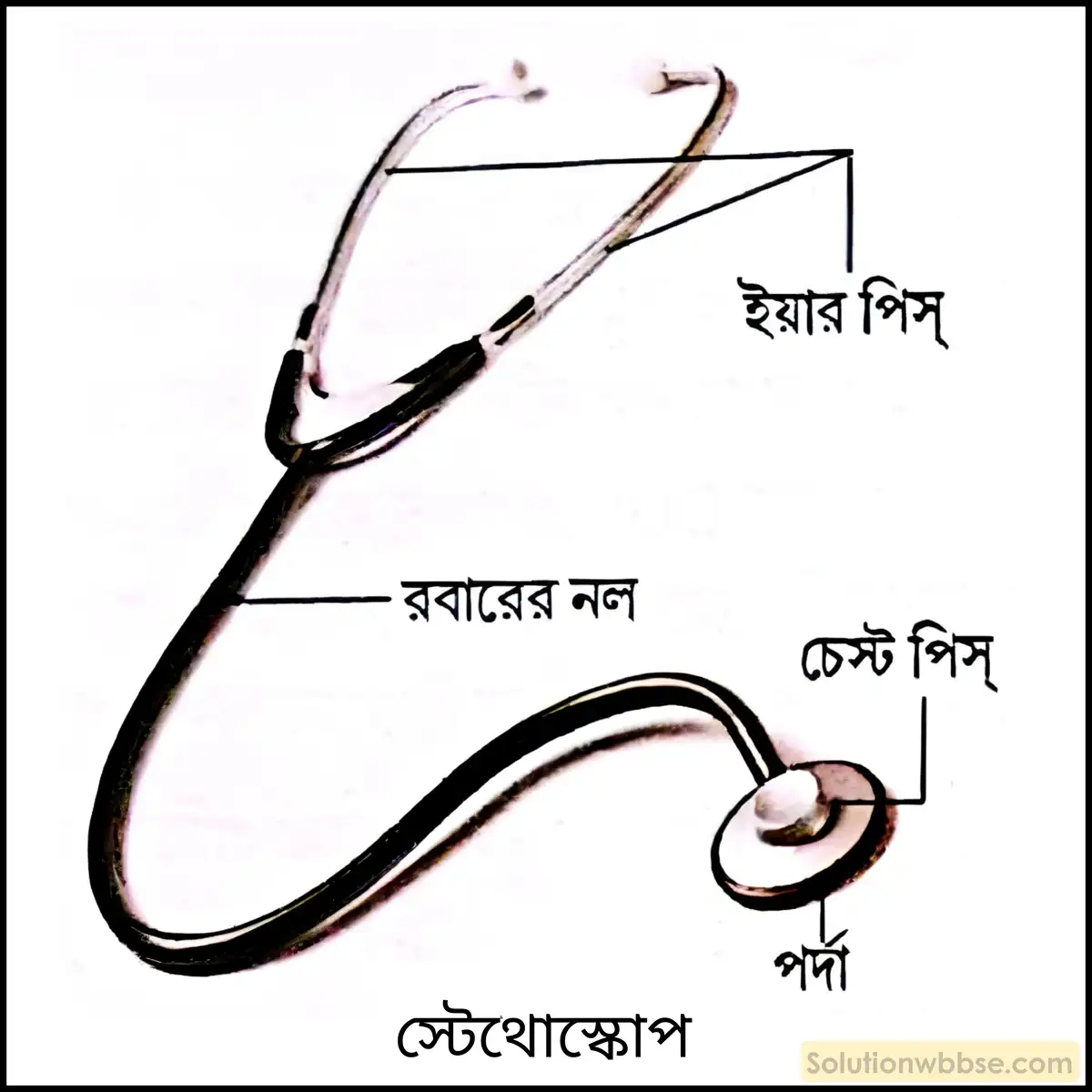 নবম শ্রেণী - ভৌতবিজ্ঞান - শব্দ - শব্দের কয়েকটি ধর্ম - প্রশ্ন ও উত্তর 5 শব্দের প্রতিফলনের কয়েকটি ব্যাবহারিক প্রয়োগ উল্লেখ করো।