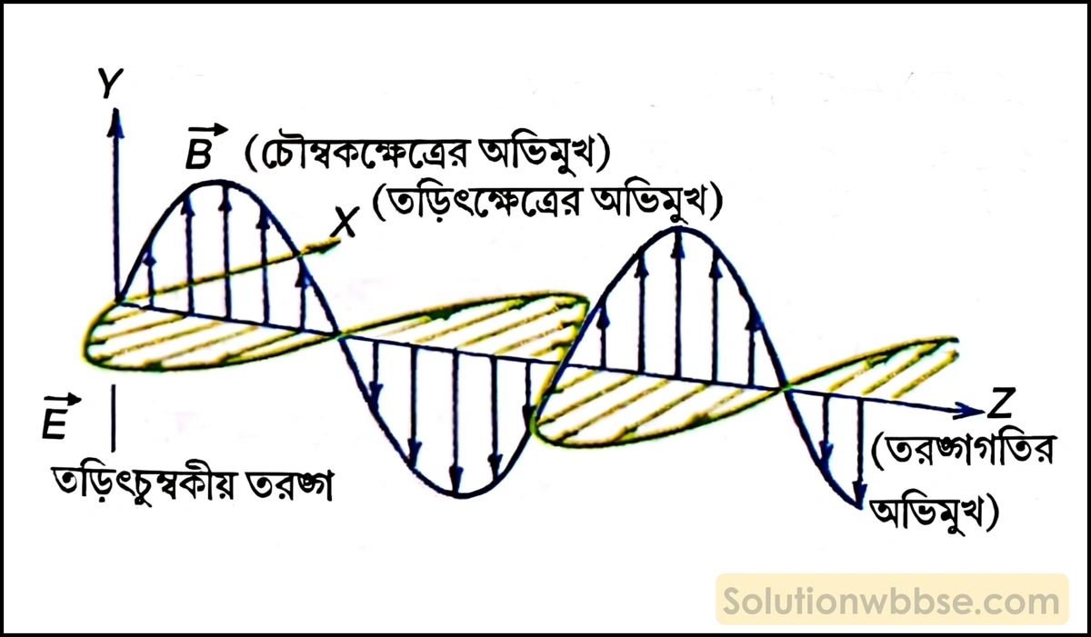 তড়িৎচুম্বকীয় তরঙ্গ কাকে বলে? উদাহরণ দাও। 