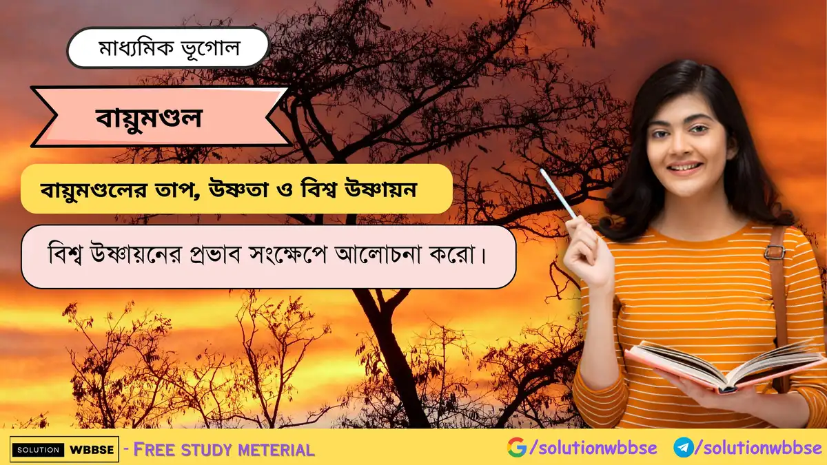 বিশ্ব উষ্ণায়নের প্রভাব সংক্ষেপে আলোচনা করো।