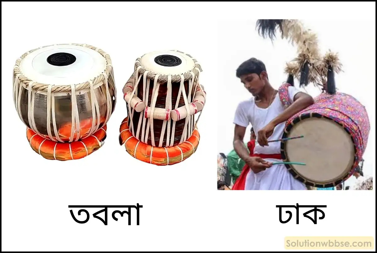 সুরযুক্ত শব্দের বৈশিষ্ট্যগুলি কী কী? প্রতিটির সংজ্ঞা দাও। এগুলি কোন্ কোন্ বিষয়ের ওপর নির্ভর করে?