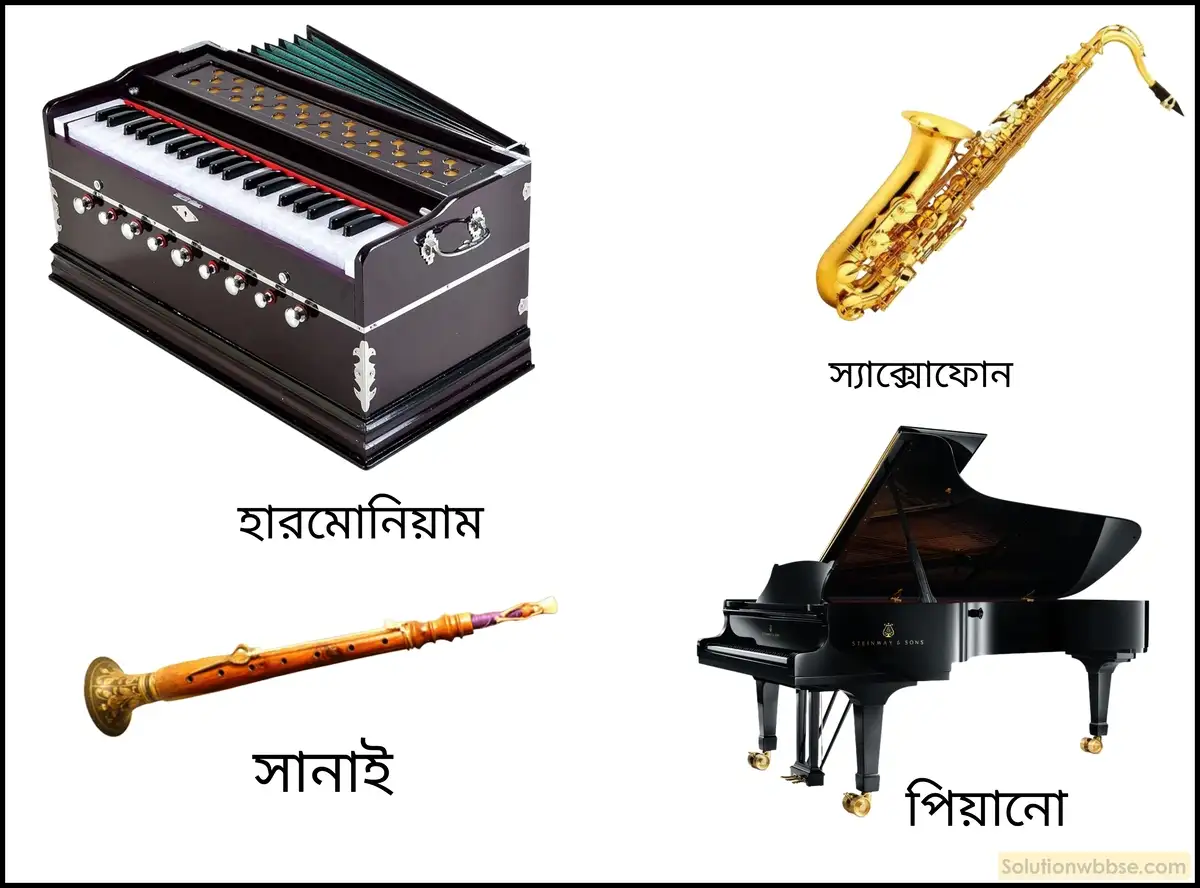 বিভিন্ন বাদ্যযন্ত্রে কীভাবে শব্দের উৎপত্তি হয়?