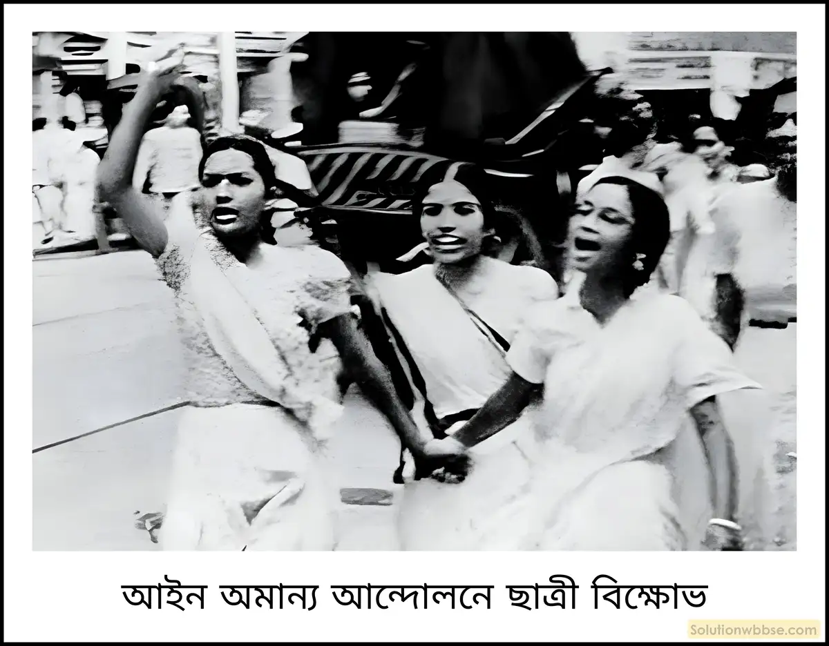 মাধ্যমিক ইতিহাস - বিশ শতকের ভারতে নারী, ছাত্র ও প্রান্তিক জনগোষ্ঠীর আন্দোলন: বৈশিষ্ট্য ও বিশ্লেষণ - বিশ্লেষণমূলক প্রশ্ন ও উত্তর 11 আইন অমান্য আন্দোলনে ছাত্রদের ভূমিকা সম্পর্কে আলোচনা করো।
