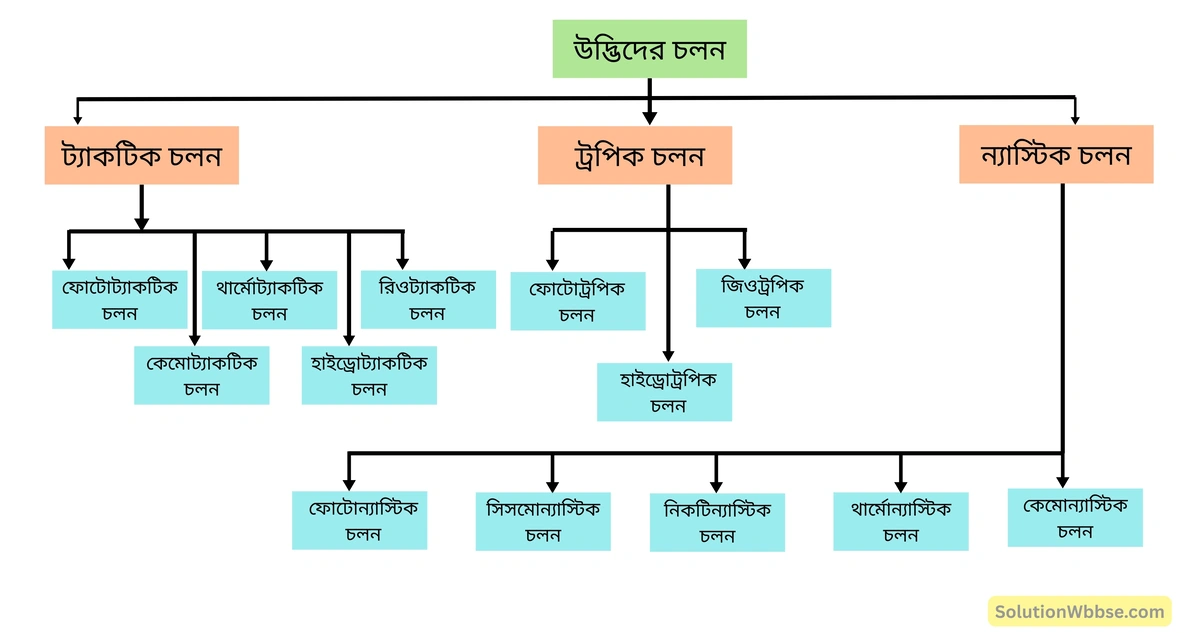 মাধ্যমিক জীবন বিজ্ঞান – জীবজগতে নিয়ন্ত্রণ ও সমন্বয় - উদ্ভিদের সংবেদনশীলতা এবং সাড়াপ্রদান - রচনাধর্মী প্রশ্নোত্তর 3 উদ্ভিদের চলন