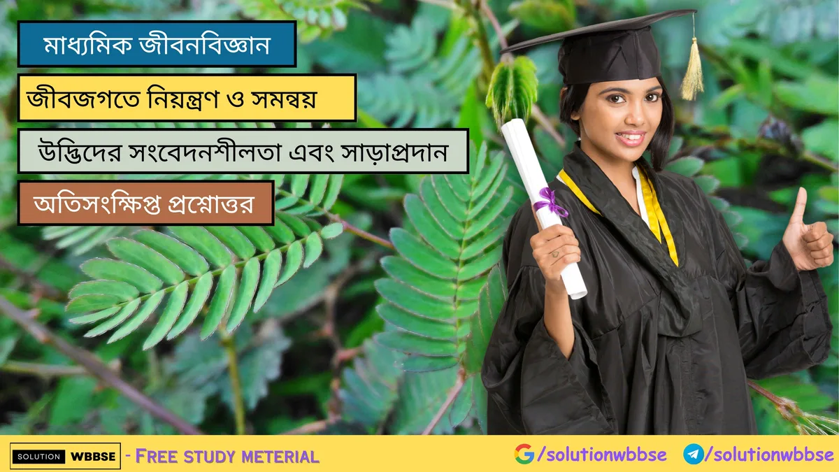 মাধ্যমিক জীবন বিজ্ঞান – জীবজগতে নিয়ন্ত্রণ ও সমন্বয় – উদ্ভিদের সংবেদনশীলতা এবং সাড়াপ্রদান – অতিসংক্ষিপ্ত প্রশ্নোত্তর 1 উদ্ভিদের সংবেদনশীলতা এবং সাড়াপ্রদান – অতিসংক্ষিপ্ত প্রশ্নোত্তর