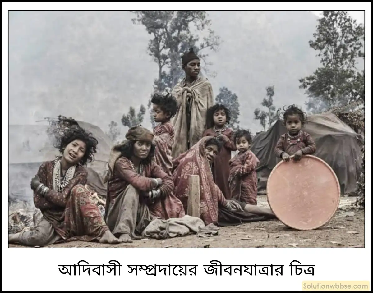 মাধ্যমিক ইতিহাস - প্রতিরোধ ও বিদ্রোহ: বৈশিষ্ট্য ও বিশ্লেষণ - রচনাধর্মী প্রশ্ন ও উত্তর 3 ঔপনিবেশিক অরণ্য আইন ও সে বিষয়ে আদিবাসী জনগণের প্রতিক্রিয়া ও প্রভাব সম্পর্কে সংক্ষেপে আলোচনা করো।
