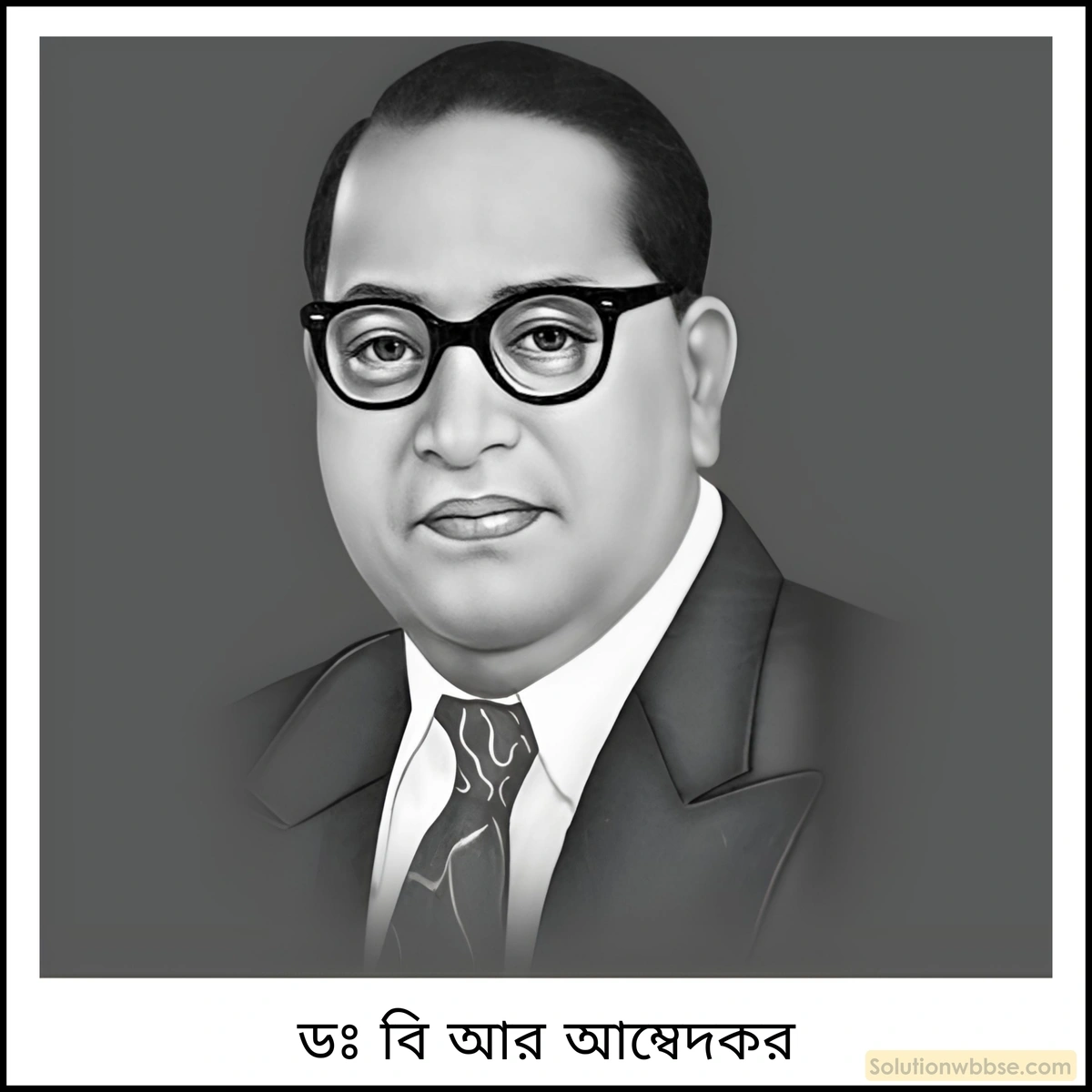 মাধ্যমিক ইতিহাস - বিশ শতকের ভারতে নারী, ছাত্র ও প্রান্তিক জনগোষ্ঠীর আন্দোলন: বৈশিষ্ট্য ও বিশ্লেষণ - বিশ্লেষণমূলক প্রশ্ন ও উত্তর 15 দলিত আন্দোলনে ডঃ বি আর আম্বেদকরের ভূমিকা আলোচনা করো।