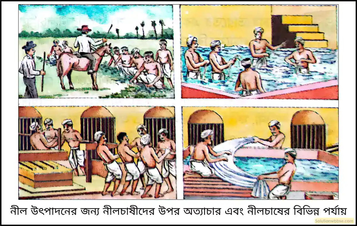 মাধ্যমিক ইতিহাস - প্রতিরোধ ও বিদ্রোহ: বৈশিষ্ট্য ও বিশ্লেষণ - রচনাধর্মী প্রশ্ন ও উত্তর 10 নীলচাষের পদ্ধতি কেমন ছিল? নীল বিদ্রোহের কারণ কী ছিল?