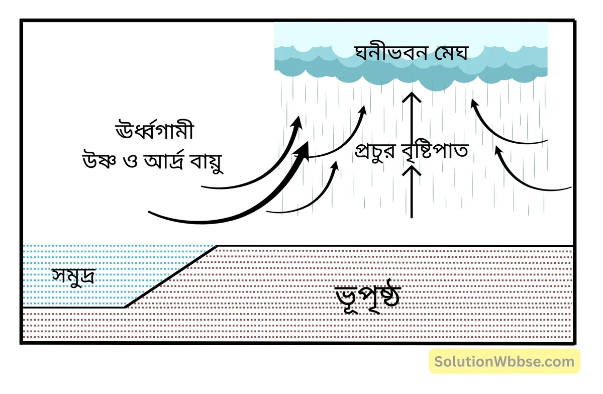 পরিচলন বৃষ্টিপাত
