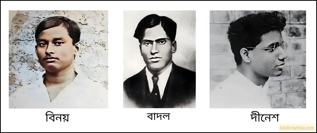 মাধ্যমিক ইতিহাস - বিশ শতকের ভারতে নারী, ছাত্র ও প্রান্তিক জনগোষ্ঠীর আন্দোলন: বৈশিষ্ট্য ও বিশ্লেষণ - বিশ্লেষণমূলক প্রশ্ন ও উত্তর 12 বেঙ্গল ভলান্টিয়ার্স সম্পর্কে সংক্ষেপে আলোচনা করো।