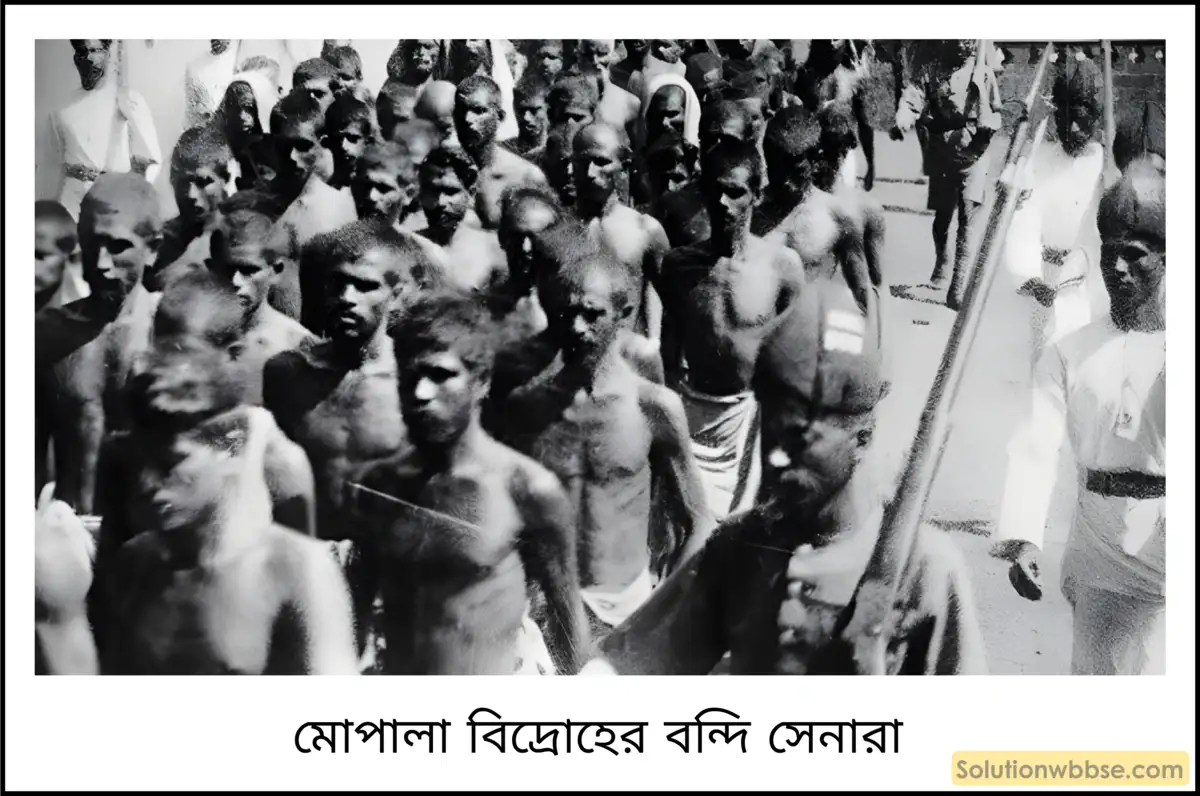 মাধ্যমিক ইতিহাস - বিশ শতকের ভারতে কৃষক, শ্রমিক ও বামপন্থী আন্দোলন: বৈশিষ্ট্য ও পর্যালোচনা - বিষয়সংক্ষেপ 7 মোপালা বিদ্রোহের বন্দী সেনা