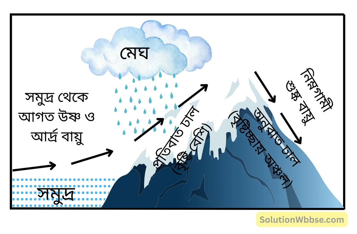 শৈলোৎক্ষেপ বৃষ্টিপাত