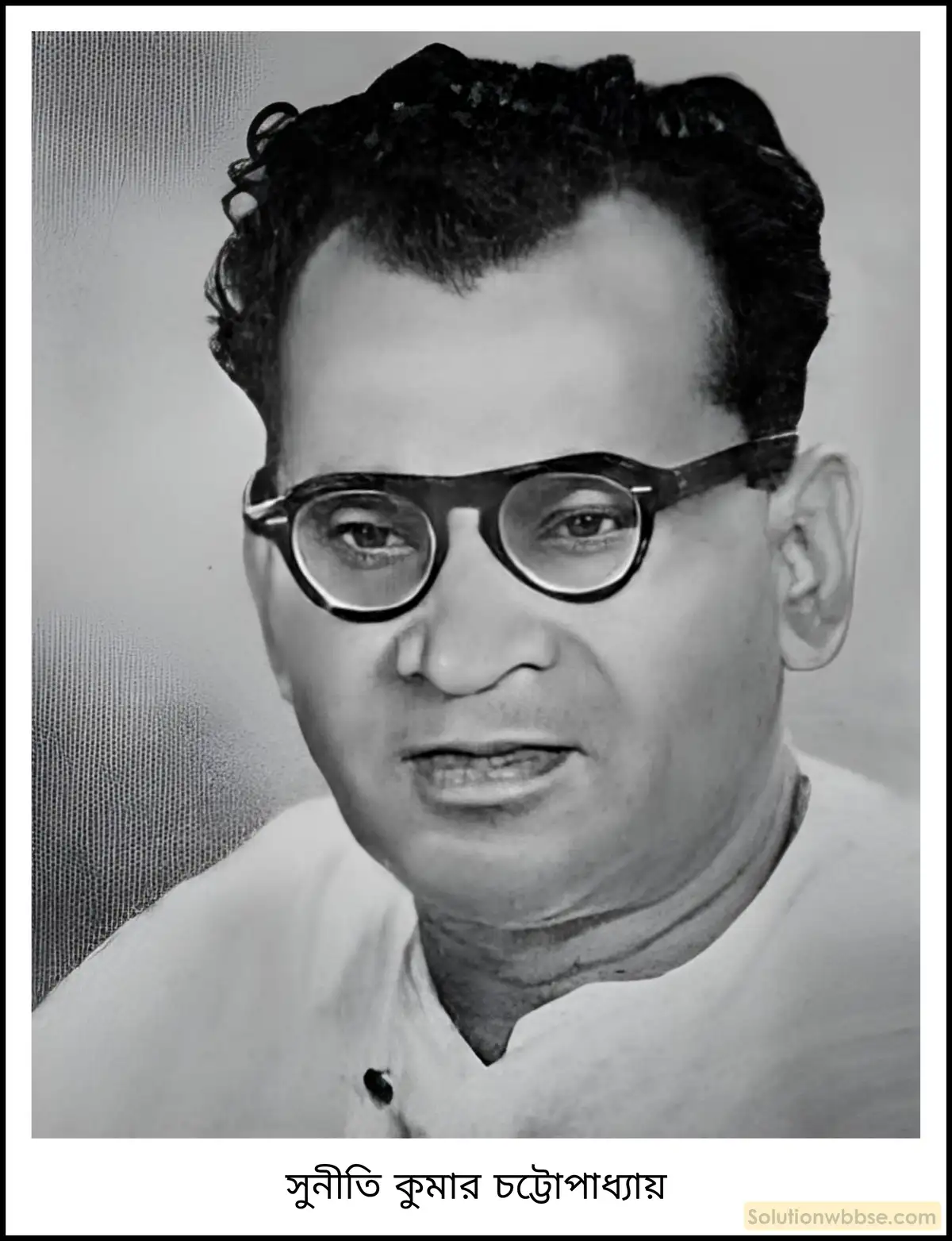 সংবিধানে স্বীকৃত ভাষাসমূহ (1964 খ্রিস্টাব্দ পর্যন্ত) কীভাবে স্বীকৃতি লাভ করেছে সে সম্পর্কে সংক্ষেপে আলোচনা করো।