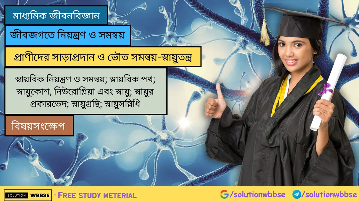 নিউরোগ্লিয়া এবং স্নায়ু; স্নায়ুর প্রকারভেদ; স্নায়ুগ্রন্থি; স্নায়ুসন্নিধি – বিষয়সংক্ষেপ